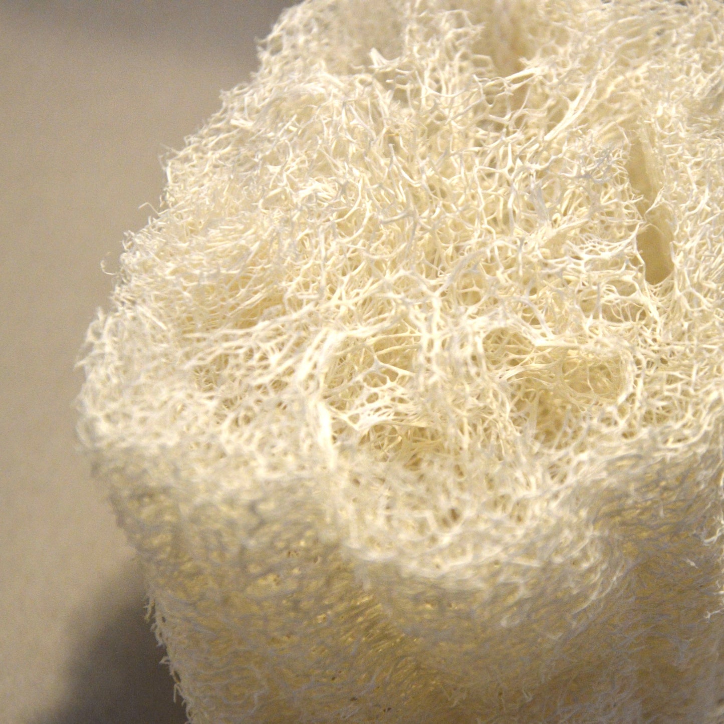 Luffa-Duschschwamm von beewise